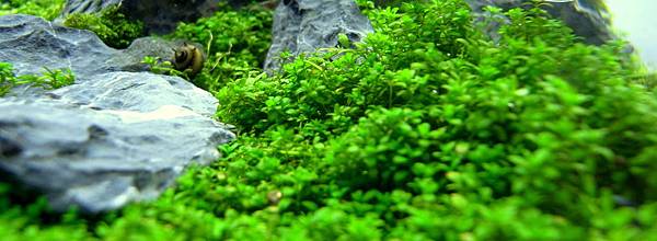 小山景12-3-7 (6).JPG