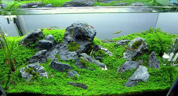 小山景12-3-7 (7).JPG