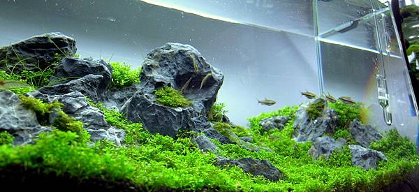 小山景12-3-7 (8).JPG