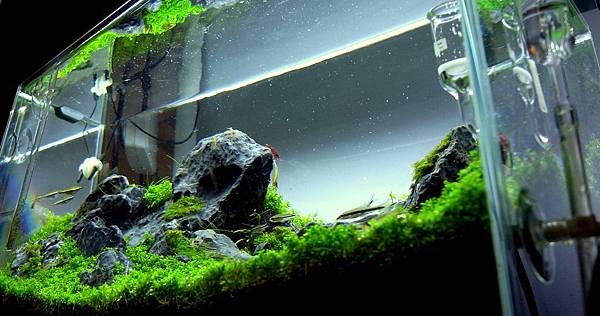 小山景12-3-7 (9).JPG