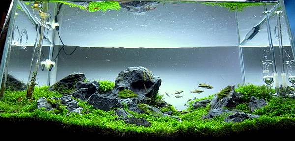 小山景12-3-7 (10).JPG