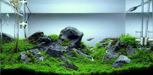 小山景12-3-7 (11).JPG