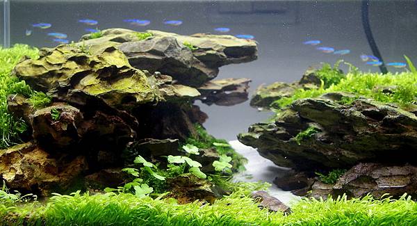 20140308 45cm (10).jpg 20140308 45cm (10).jpg