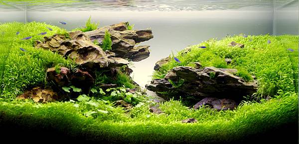 20140401 45cm 成景圖 (5).jpg 20140401 45cm 成景圖 (5).jpg