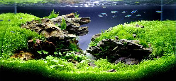 20140401 45cm 成景圖(1).jpg 20140401 45cm 成景圖(1).jpg