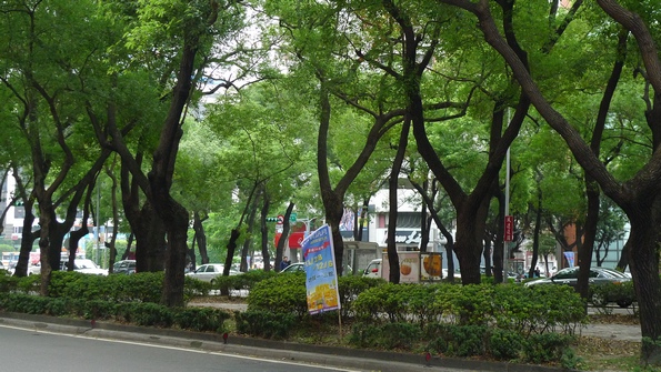 P1010233.JPG P1010233.JPG