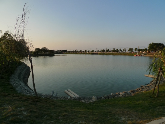 P1010428.JPG P1010428.JPG