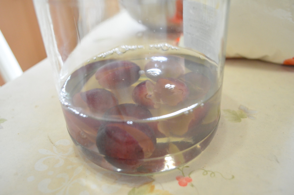 DSC_0251_調整大小.JPG DSC_0251_調整大小.JPG