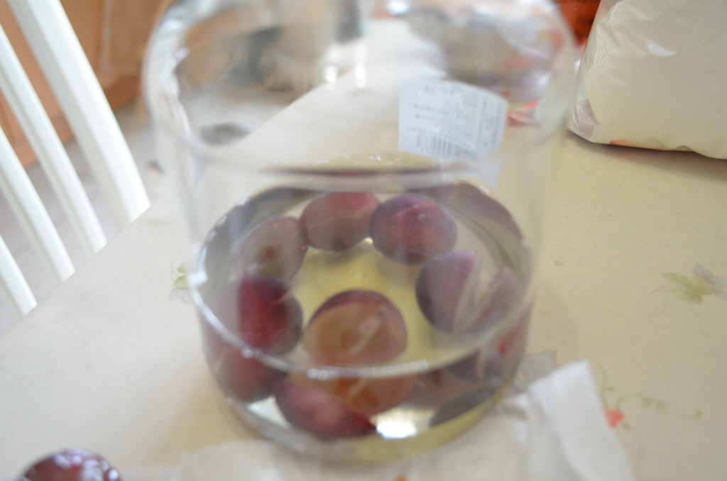 DSC_0250_調整大小.JPG DSC_0250_調整大小.JPG