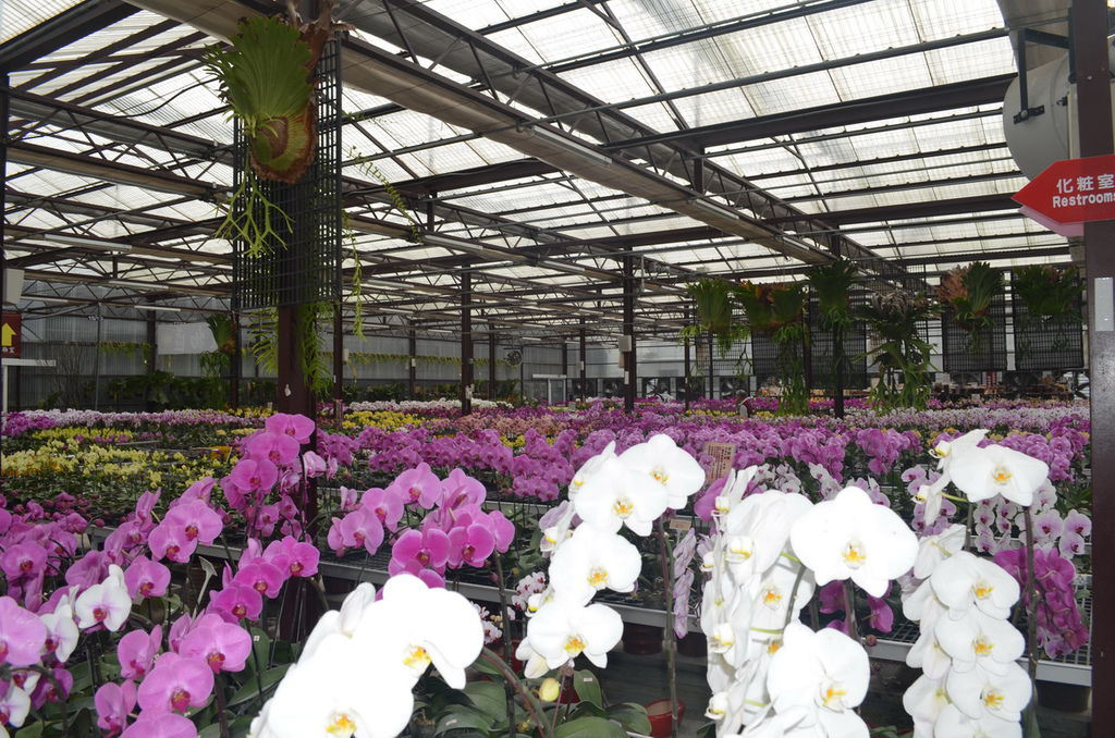 DSC_0363_調整大小.JPG DSC_0363_調整大小.JPG