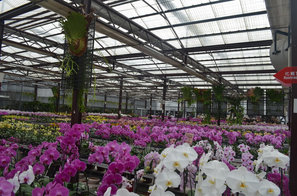 DSC_0364_調整大小.JPG DSC_0364_調整大小.JPG