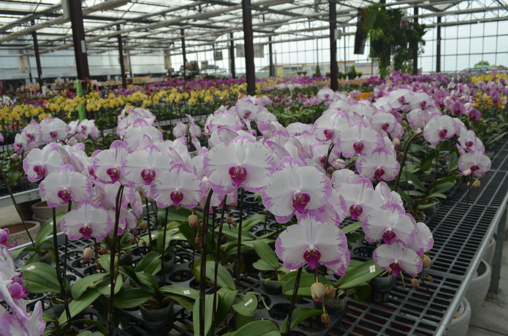 DSC_0365_調整大小.JPG DSC_0365_調整大小.JPG