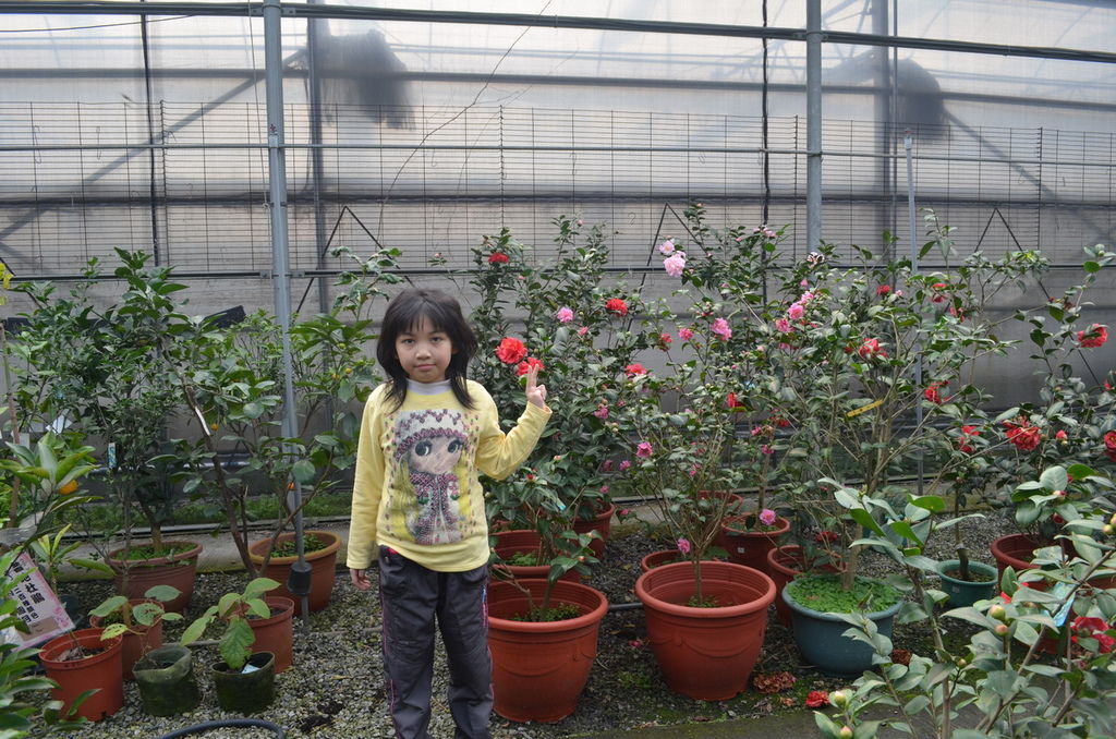 DSC_0366_調整大小.JPG DSC_0366_調整大小.JPG