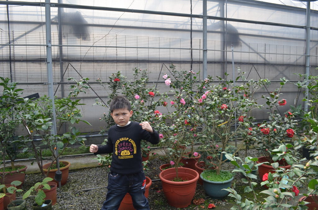 DSC_0367_調整大小.JPG DSC_0367_調整大小.JPG