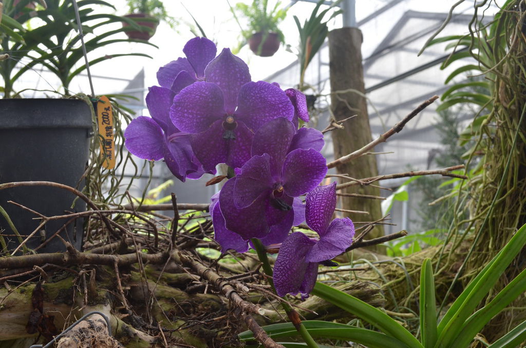 DSC_0369_調整大小.JPG DSC_0369_調整大小.JPG