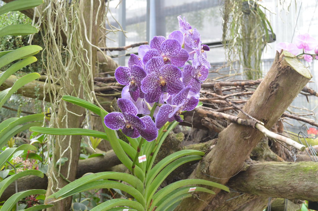 DSC_0370_調整大小.JPG DSC_0370_調整大小.JPG