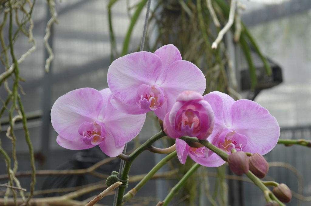 DSC_0371_調整大小.JPG DSC_0371_調整大小.JPG