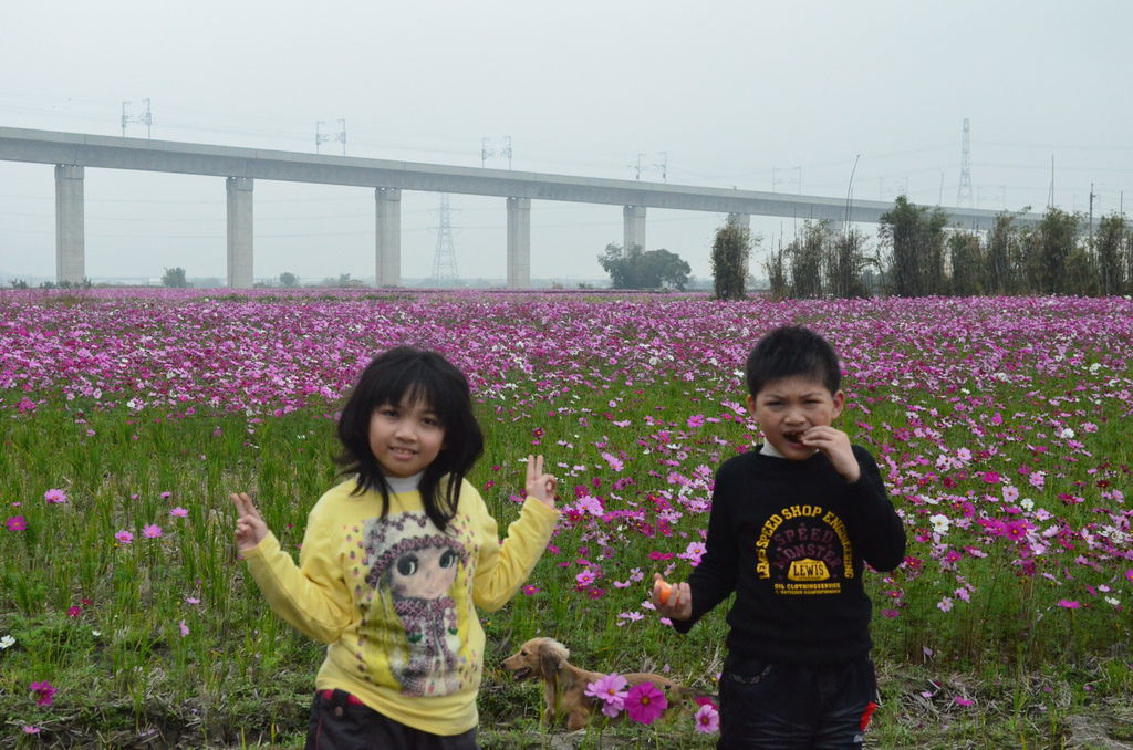 DSC_0372_調整大小.JPG DSC_0372_調整大小.JPG