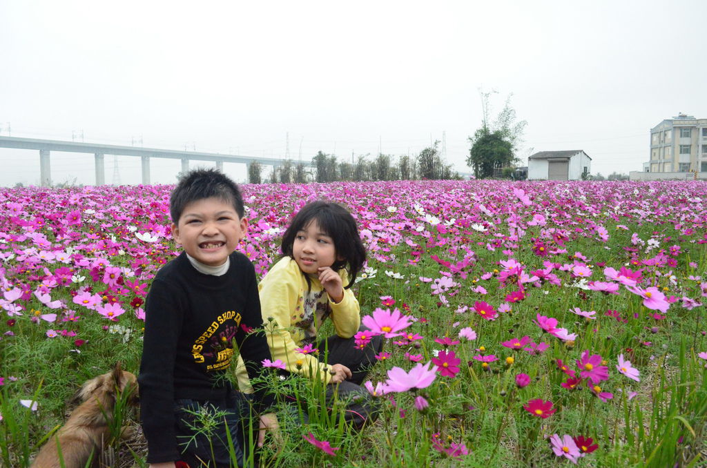 DSC_0374_調整大小.JPG DSC_0374_調整大小.JPG