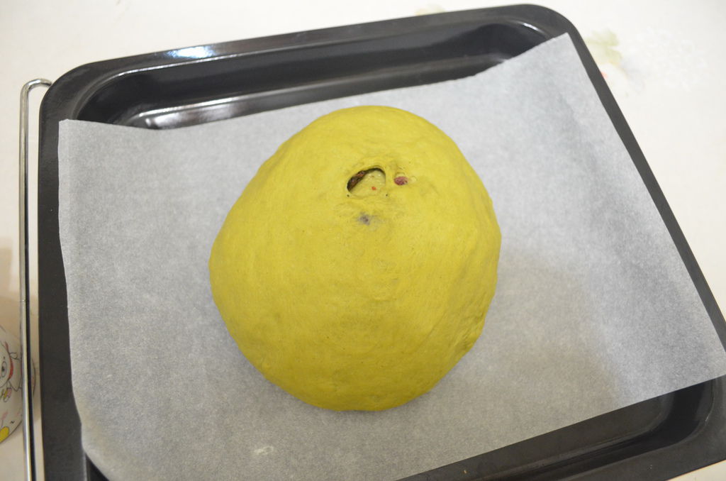 DSC_0381_調整大小.JPG DSC_0381_調整大小.JPG