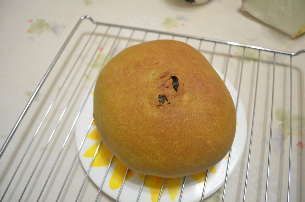 DSC_0382_調整大小.JPG DSC_0382_調整大小.JPG