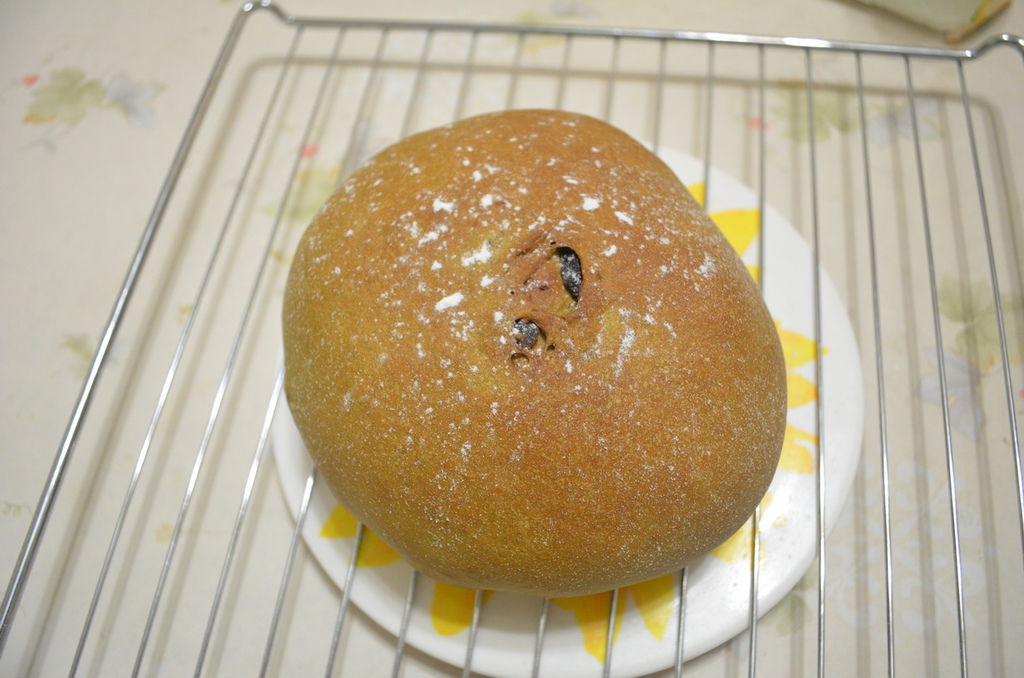 DSC_0383_調整大小.JPG DSC_0383_調整大小.JPG