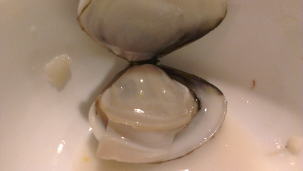 IMAG3017.jpg IMAG3017.jpg