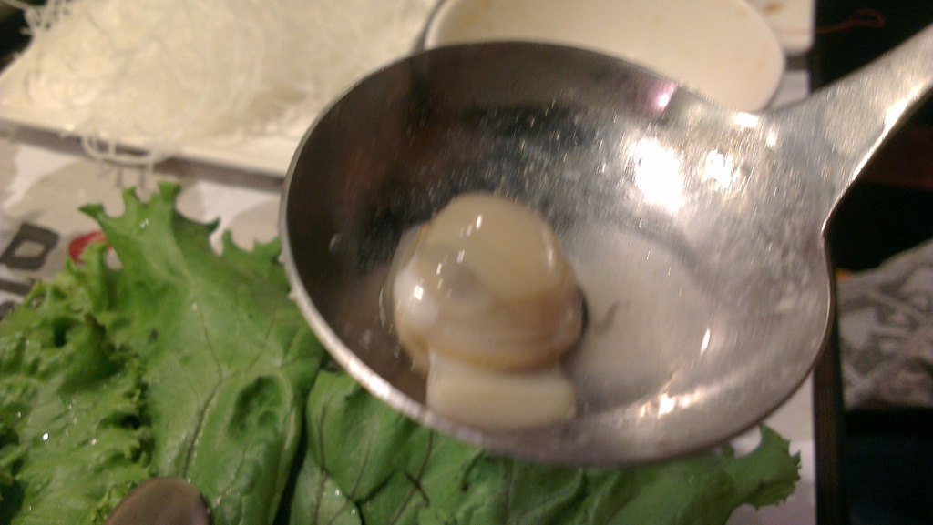 IMAG3018.jpg IMAG3018.jpg