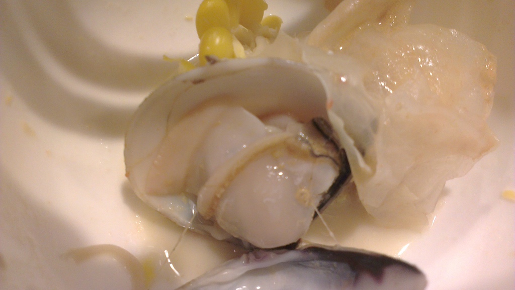 IMAG3019.jpg IMAG3019.jpg