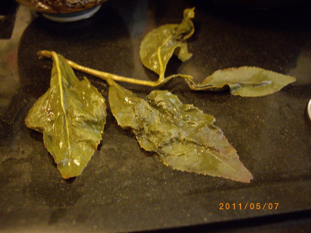 IMGP3762_調整大小.JPG IMGP3762_調整大小.JPG