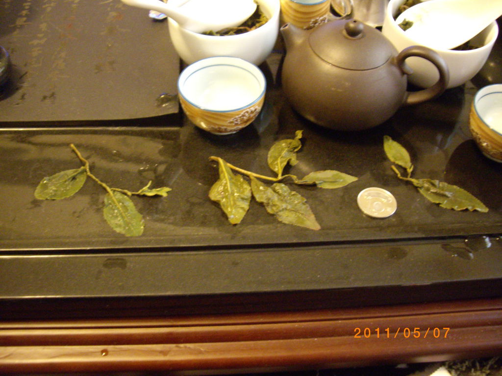 IMGP3760_調整大小.JPG IMGP3760_調整大小.JPG