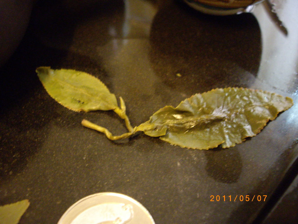 IMGP3763_調整大小.JPG IMGP3763_調整大小.JPG