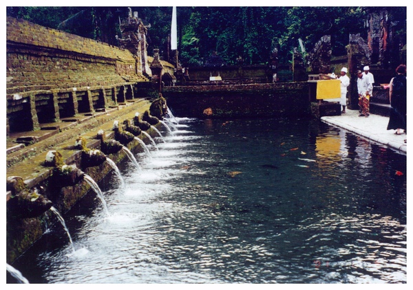 峇里島的生活導師