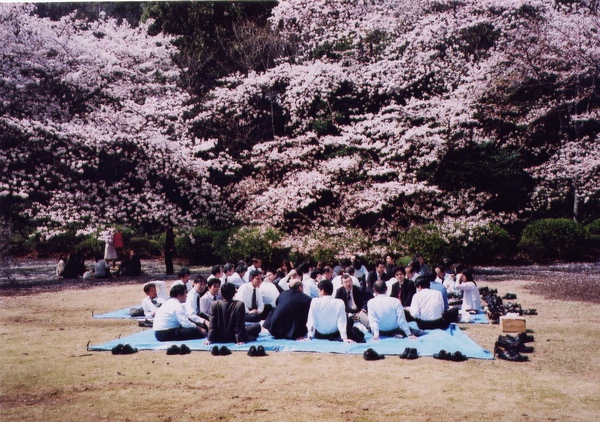 日本賞櫻五人行