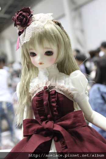 IMG_0821.JPG IMG_0821.JPG