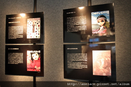 IMG_1120.JPG IMG_1120.JPG