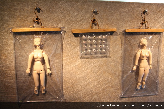 IMG_1125.JPG IMG_1125.JPG