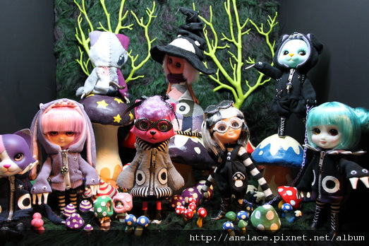 IMG_1130.JPG IMG_1130.JPG