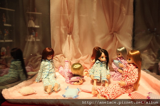 IMG_1238.JPG IMG_1238.JPG