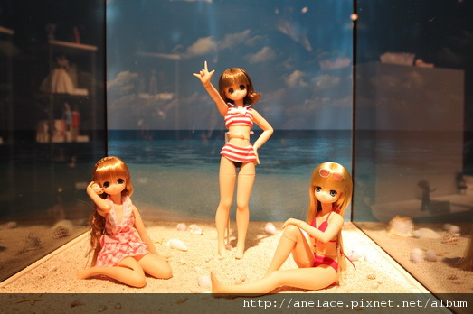 IMG_1239.JPG IMG_1239.JPG