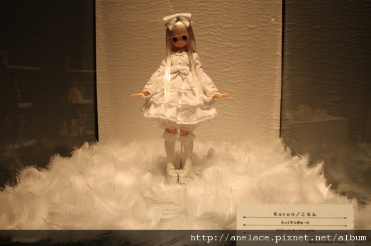 IMG_1240.JPG IMG_1240.JPG