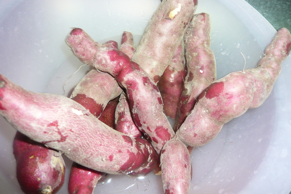 P1040649.JPG P1040649.JPG