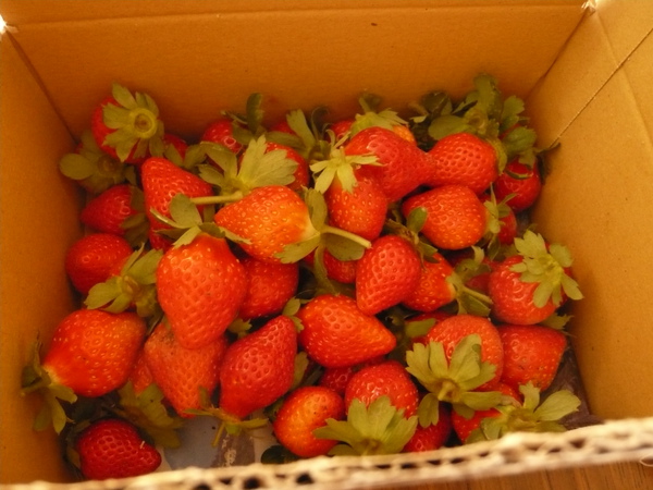 P1090509.JPG P1090509.JPG