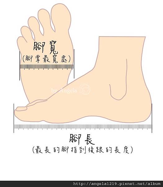 foot measurement.jpg