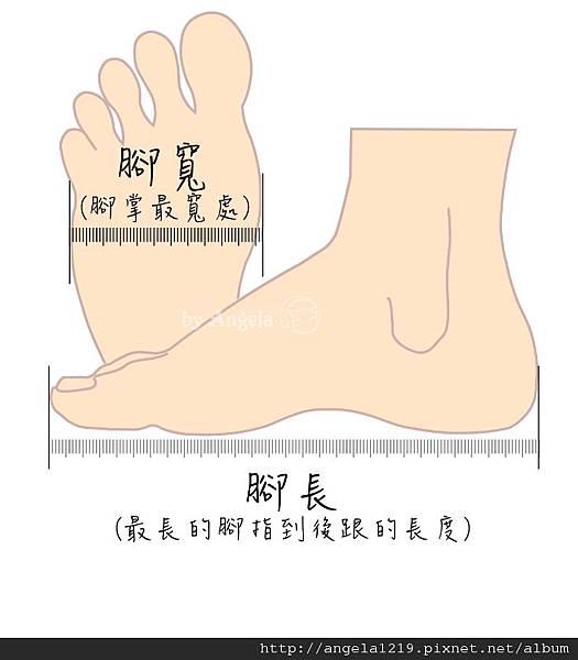foot measurement.jpg foot measurement.jpg