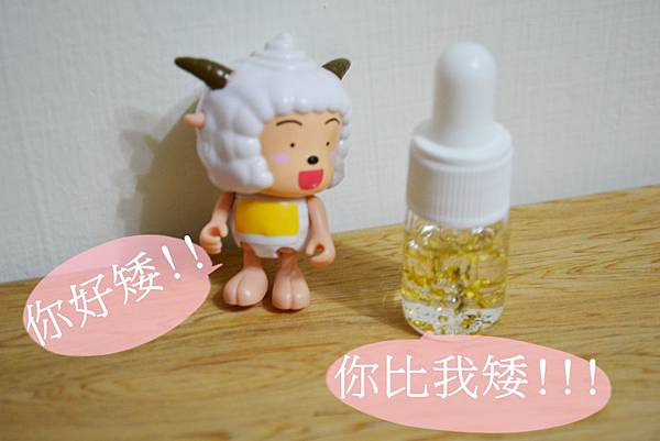 試用