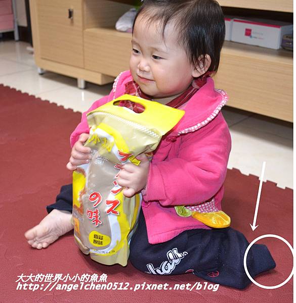 DSC_3853 試用