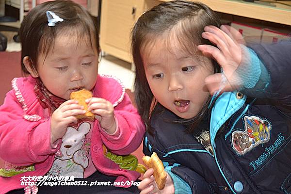 DSC_3871 試用