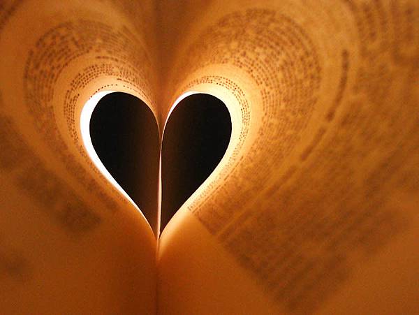 love reading love reading