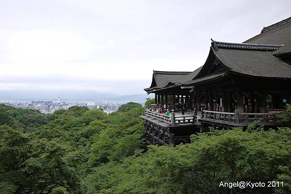 P1010001.jpg P1010001.jpg